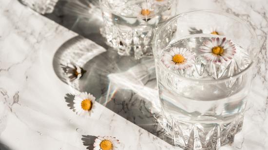 Arrangement von Gänseblümchen und Wasserglas