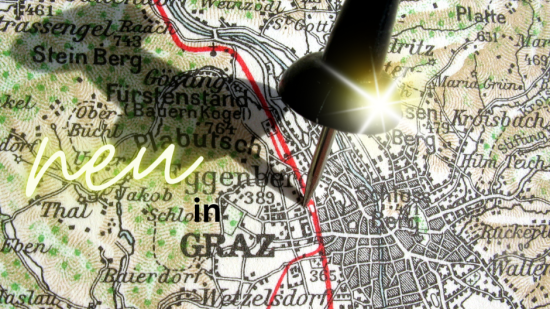 Bild Stadtplan Graz